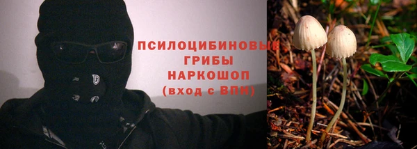 хмурый Алексин