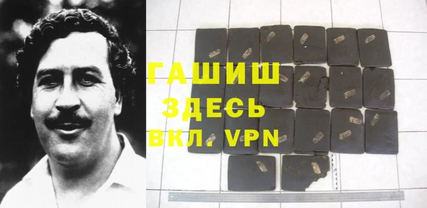 хмурый Алексин