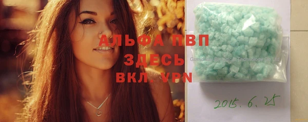 хмурый Алексин