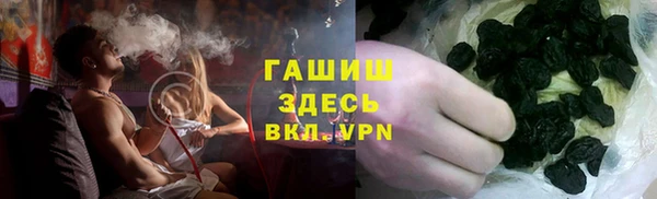 хмурый Алексин