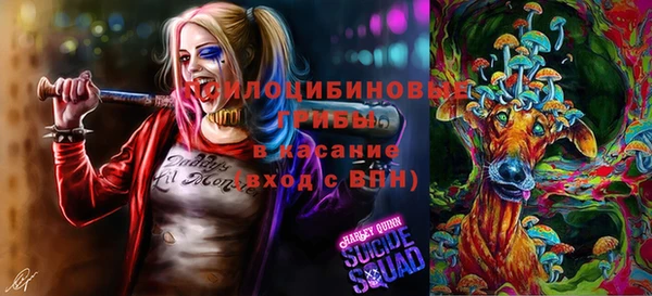 амф Алзамай
