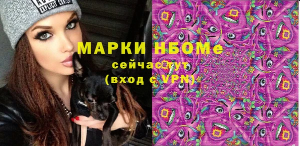 хмурый Алексин