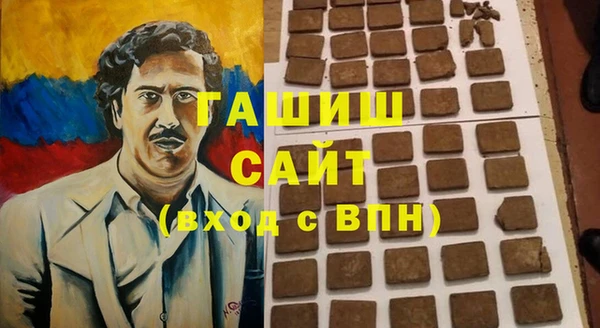 хмурый Алексин