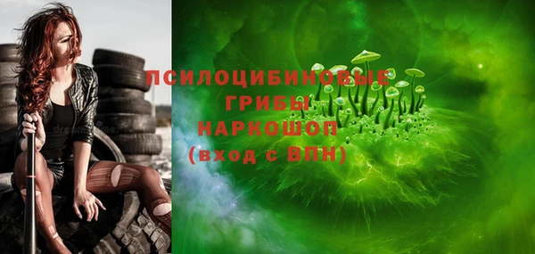 хмурый Алексин