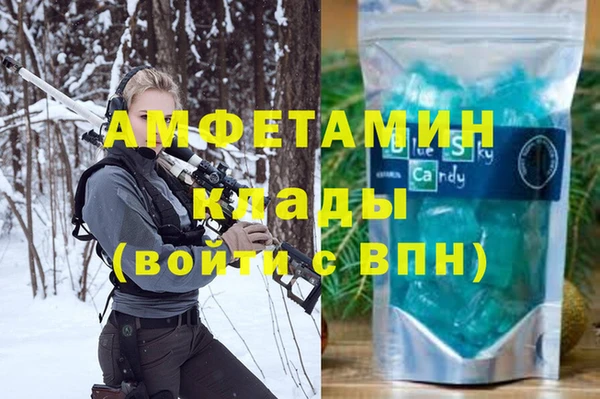 хмурый Алексин