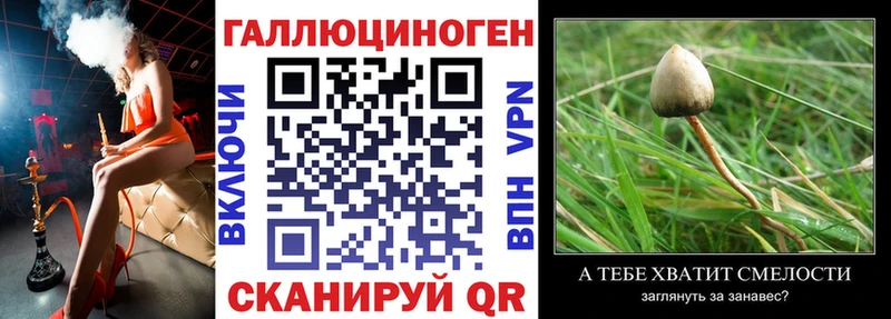 Псилоцибиновые грибы мицелий Электрогорск