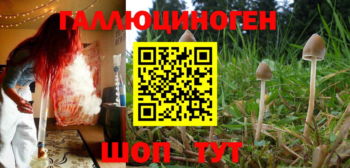 Псилоцибиновые грибы Magic Shrooms Электрогорск