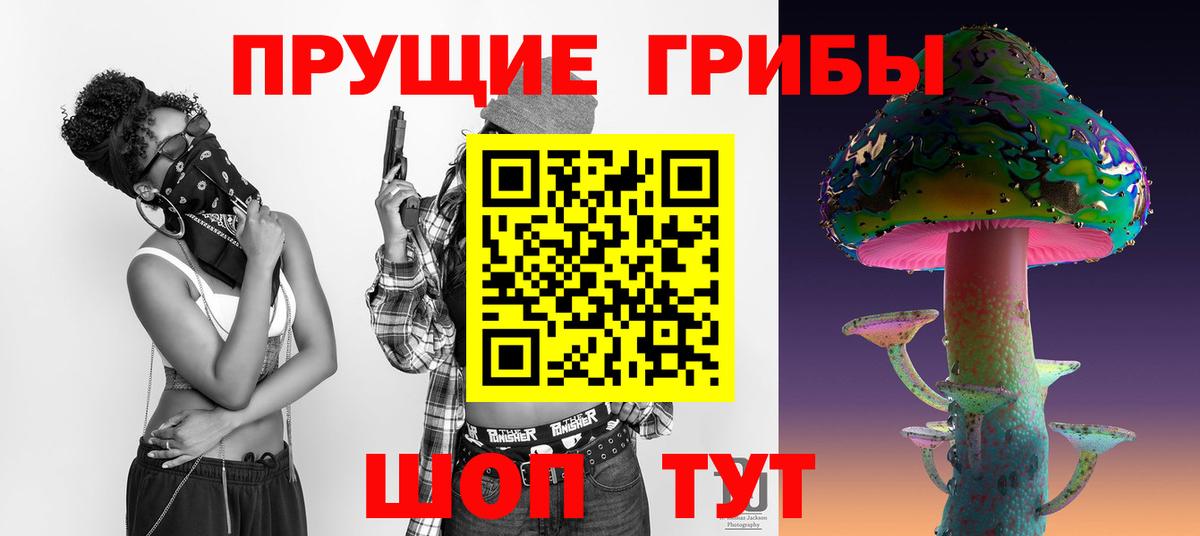 где купить   Вход с VPN  Электрогорск  Галлюциногенные грибы MAGIC MUSHROOMS 